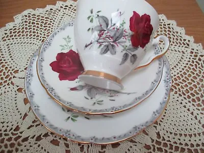 Buy Lovely Royal Stafford Very Pretty  China Tea Cup Set Trio Roses To Remember • 11£
