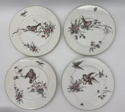 Buy Martial Redon Limoges 8 1/2  Set Of 4 Hand Painted Transferware Bird Plate • 51.14£