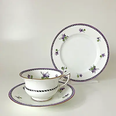 Buy Aynsley Vintage China Tea Cup Saucer Plate Violets A3073  Trio • 10.95£