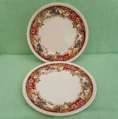 Buy 2 Vintage Johnson Bros Devonshire Brown Multicolour Dinner Plates - 25 Cm (9.9 ) • 4.99£