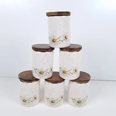 Buy Kernewek Pottery Spice Jars 8cm Cornwall Vintage Daisy Floral Pattern Set Of 6 • 24.49£