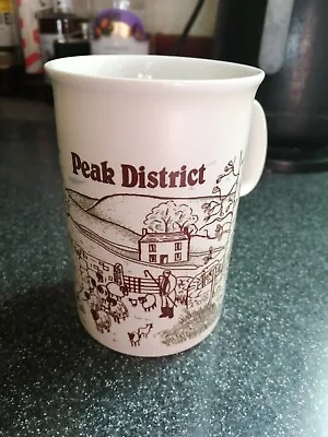 Buy Vintage Dunoon Stoneware Mug, Souvenir Of The Peak District • 3.50£