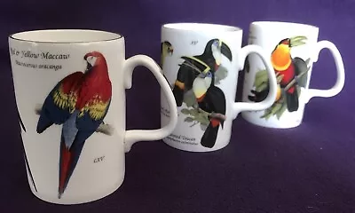 Buy STAFFORDSHIRE TABLEWARE National History Museum - 3 Ceramic MUGS Exotic Birds • 15£