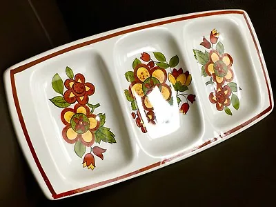 Buy Rare Vintage (1970s) Palissy Casual Tableware 10”x5” (26cmx13cm) Ironstone Dish • 35£