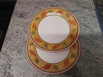 Buy Staffordshire Tableware Savannah Set Of 2 Dinner Plates 26cm • 15.99£