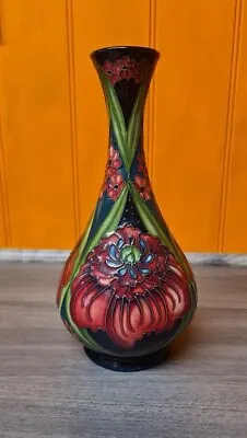 Buy Moorcroft 2008 RARE ‘Eve Burgundy’ Baluster Vase By Rachel Bishop 23.5cm • 245£