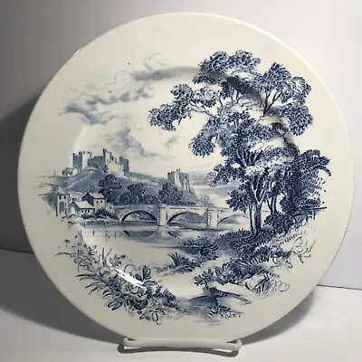Buy Vintage 1966 Wedgewood China England  Countryside  Individual Dinner Plate Disc. • 5.68£
