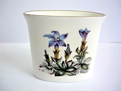 Buy Royal Worcester 51 Fine Bone China Trinket Box Pot Posy Vase Toothpick Holder • 4.99£