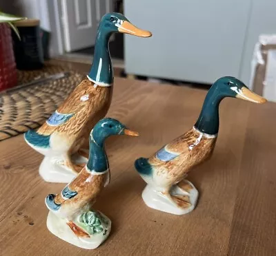 Buy 3 Ceramic Graduating Beswick Standing Ducks Mid Century Retro • 25£