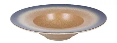 Buy Large Stoneware Pasta Bowl Risotto Plate 28x6.3cm Caribian • 7.99£