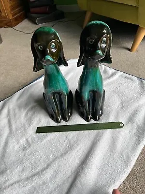 Buy Magnificent Pair Of Blue Mountain Dogs  • 75£