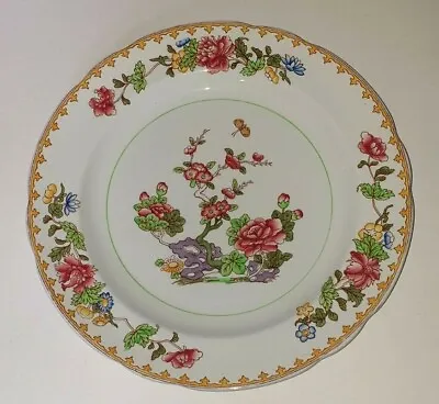 Buy COPELAND SPODE: Vintage Dinner Plate - Oriental Pattern 2 / 6001  • 19.50£