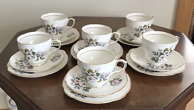 Buy Duchess Brecon Vintage Bone China Afternoon Tea Set 6 Cup Saucer Side Plate • 24£
