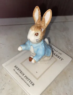 Buy Beswick Beatrix Potter 100 Anniversary Peter Rabbit On His Book Limited Edition • 45£