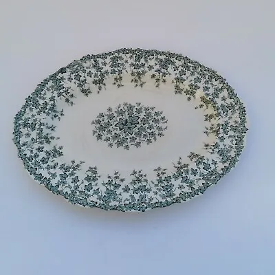 Buy Vintage, Crown Ducal Early English Green Ivy Rare Platter China Scalloped Edge • 25.99£