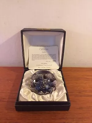 Buy Caithness Limited Edition No 495 Of 500 PUFFIN Paperweight, Certificate  • 55£