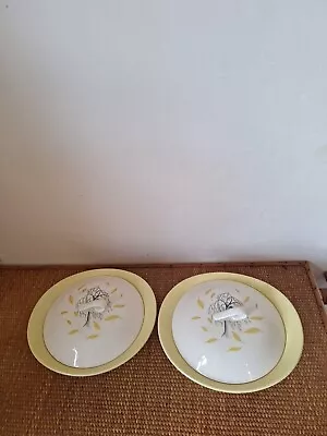 Buy Vintage 1950s Tableware Johnson Brothers Autumn Leaves Pattern Lidded X 2  • 25£