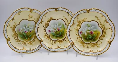Buy Rare Set Of 12 Hand Painted Orchid Plates W.A.Adderley&Co. Artist Signed H.Wagg • 1,138.47£