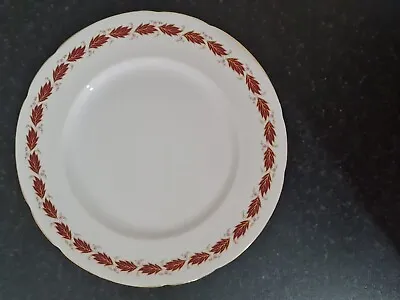 Buy Paragon Fine Bone China Plate(1970's) Red And Golden Leaves Design Around • 4.99£