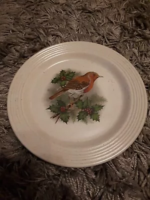Buy Purbeck Pottery Robin Dinner Plate Christmas 27cm Decorative Bird BARGAIN • 5.99£