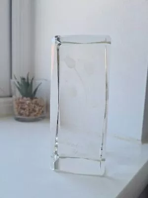 Buy Refaels LTD All Crystal Glass 3d Laser Paperweight (12cm X 6cm) • 9.99£