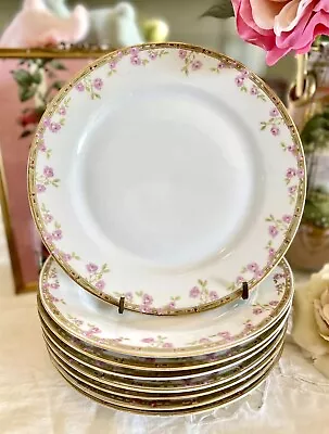Buy 8 Luncheon Plates Pink Roses Z Scherzer Porcelain China Bavaria Germany VINTAGE • 54.70£