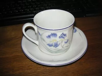 Buy Royal Doulton Minerva Tea Cup And Saucer • 2.99£