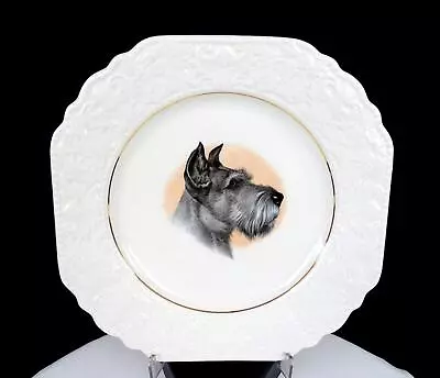 Buy Lord Nelson Pottery England #2-72 Schnauzer Terrier Scroll Embossed 8 3/8  Plate • 18.97£