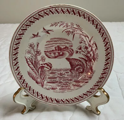 Buy Antique Children’s Plate, Pinkish Red, White, Birds, Flowers, Water Hen, England • 19.13£