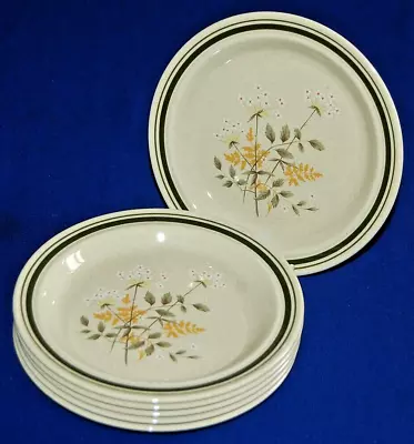 Buy Royal Doulton Lambethware Will O' The Wisp Set 6 Side Plates 17cms, • 9.99£