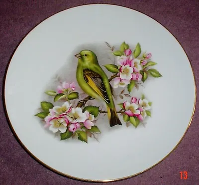 Buy Royal Worcester Bird Plate Oven To Table Ware • 10.99£
