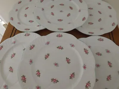Buy Set Of 6 Charming Shelley Rosebud Pattern No. 13426 Dessert Plates • 19.99£