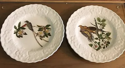 Buy Alfred Meakin Fork Tailed Flycatcher Luncheon Plate Birds Of America 168 Flowers • 25.61£