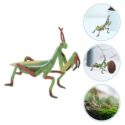 Buy  Plastic Mantis Ornaments Child Toddler Toy Animal Figurines • 5.28£