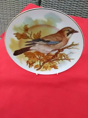 Buy Fenton China Staffordshire Top Quality 4 Bird Plates Going On Site Check Pic   • 2.49£