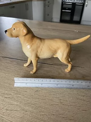 Buy Vintage Beswick  Golden Labrador  Figure  • 0.99£
