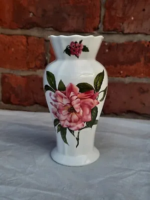 Buy Aynsley Fine Bone China   Chelsea Flowers   Floribunda Rose Pattern Flower Vase • 14£
