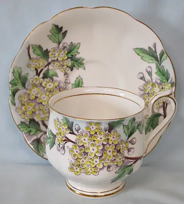 Buy Royal Albert Flower Of The Month Hampton Shaped Cup & Saucer #5 Hawthorn • 23.74£