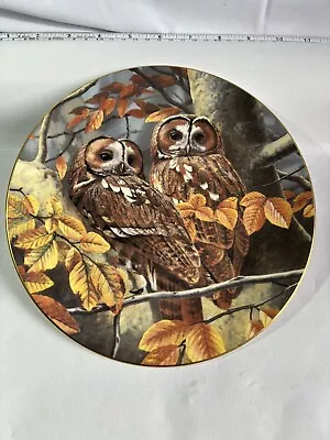 Buy Royal Doulton Tawny Owls Decorative Collectable Plate • 3.99£