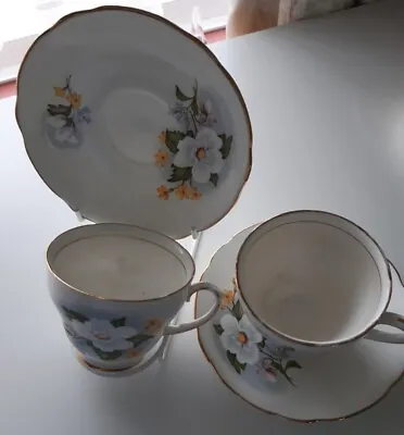 Buy Bargain 2 Sets Vintage Duchess Bone China Cup And Saucers - White Rose Design • 15£
