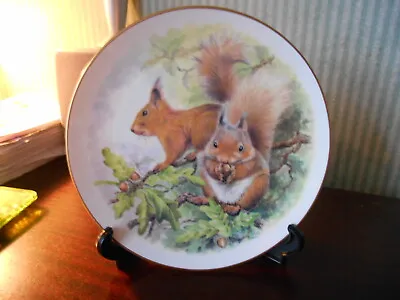 Buy Royal Vale Bone China Plate Made In England  Squirrels • 10.99£