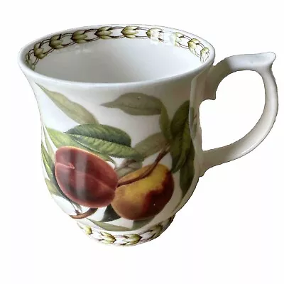 Buy Queen's Royal Horticultural Society ~Hookers Fruit~ Fine Bone China Cup PEACHES • 9.14£