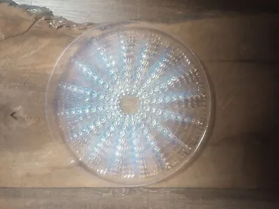 Buy  Lalique Oursins Sea Urchin Cucumber 11  Opalescent/irridiscent Plate Htf • 428.95£