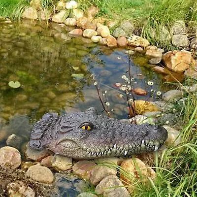 Buy Simulation Floating Crocodile Head Outdoor Statues For Garden Pool Ornament • 15.86£