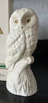 Buy Donegal Parian Bone China Owl Large VVGC Ireland RARE • 14£
