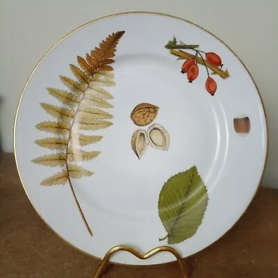 Buy Vintage Royal Worcester, Wild Harvest Pattern, Gold Edged Dinner Plate, 25.5cm • 8.95£