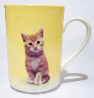 Buy Marks & Spencer Cat Mug • 12.99£