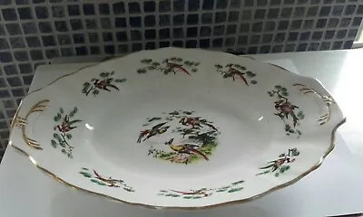 Buy Royal Stafford Bone China. BIRD Plate. 26 X 19 Cms Vintage • 6.99£