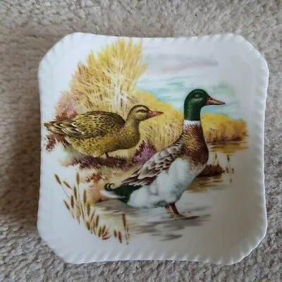 Buy Royal Adderley Floral Dish Plate Mallard Ducks - Used • 5£