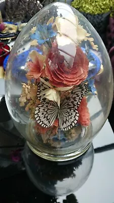 Buy  Victorian  Glass Dome   Captive Garden Floral Butterfly Display • 59.99£